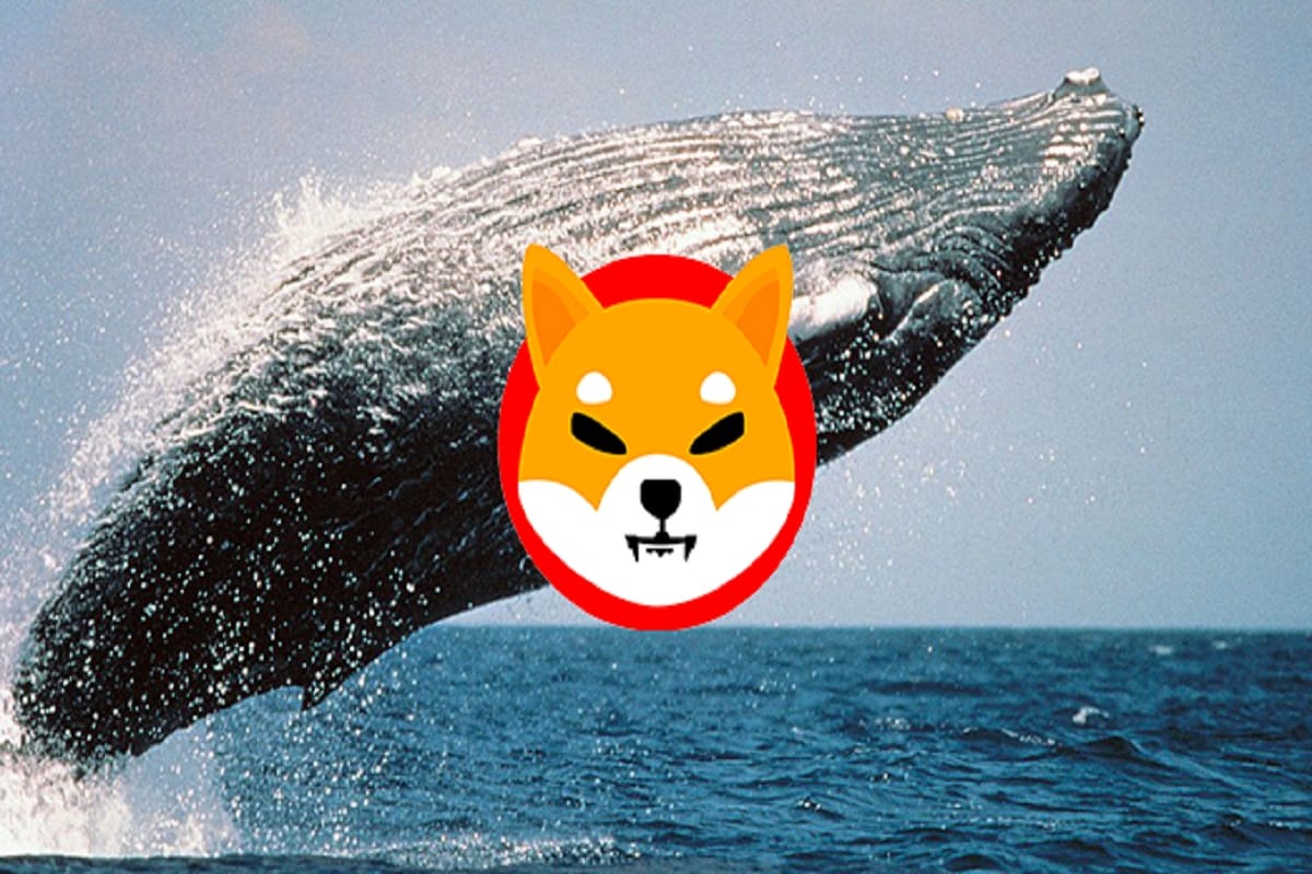 SHIB-WHALE.jpg