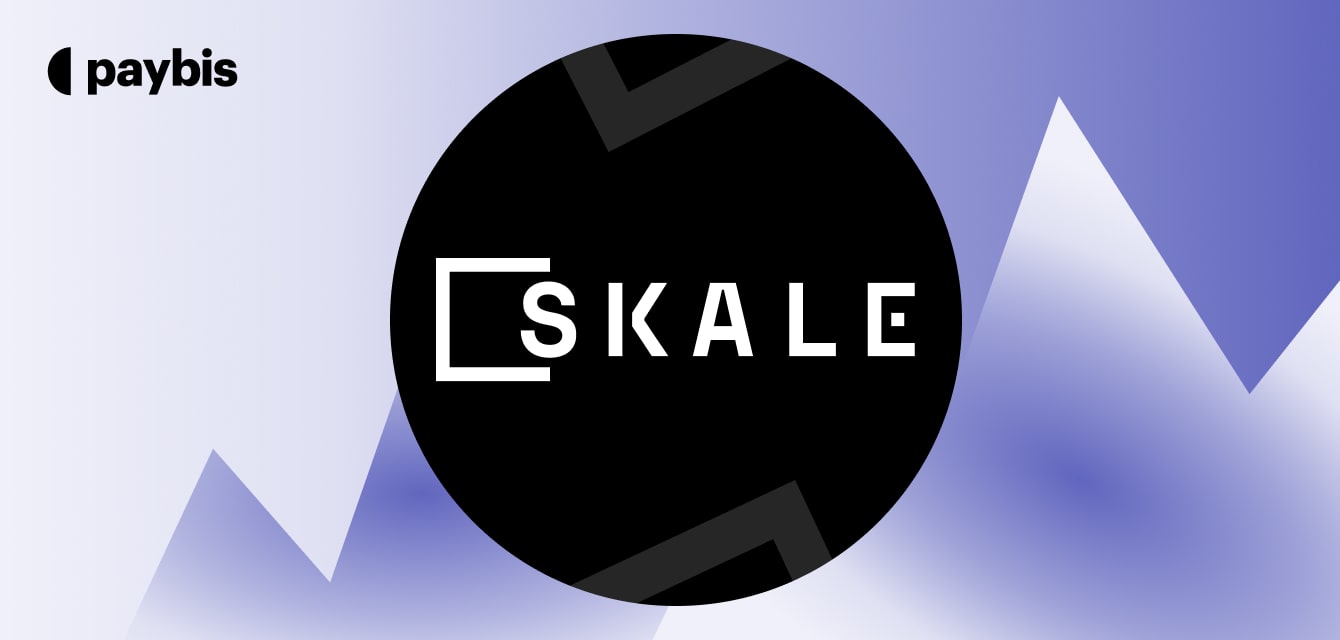SKL币未来十年价格预测｜本文详解SKALE发展历程